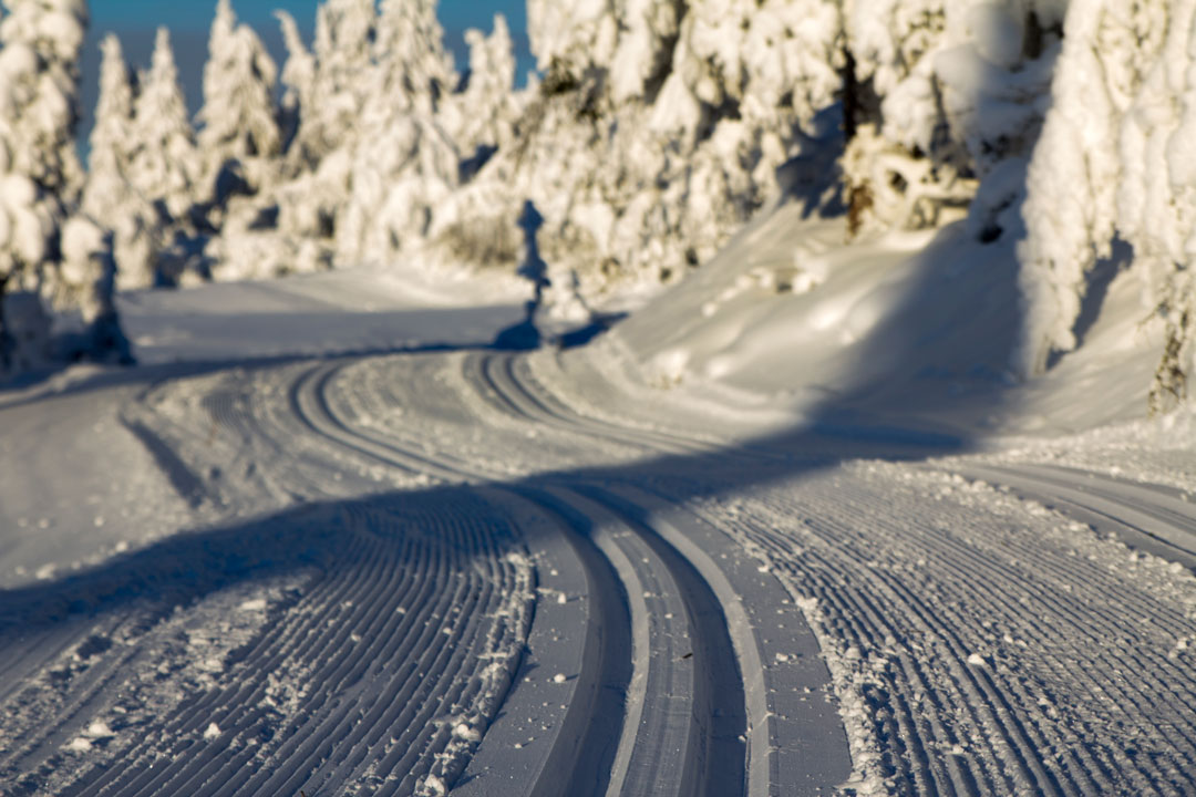 Danebu_Januar_2016_103