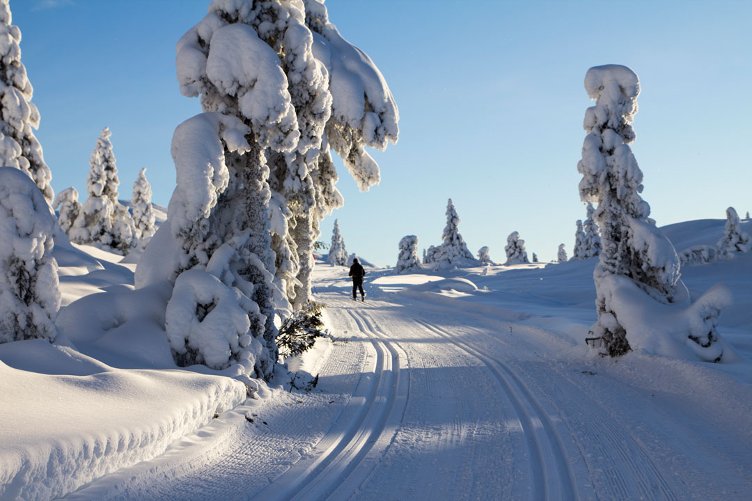 Danebu_Januar_2016_134