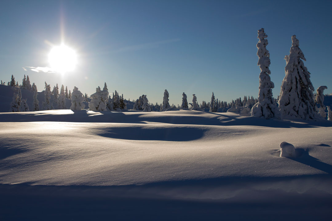Danebu_Januar_2016_172